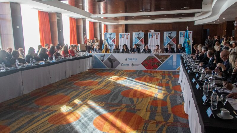 Vizzotti y Arcioni inauguraron el Consejo Federal de Salud en Chubut