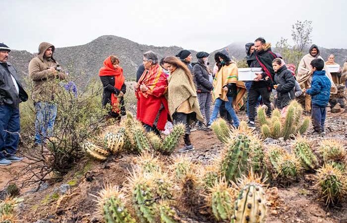 Primera restitución de restos a pueblos originarios por parte de la Provincia