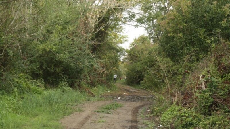 BERAZATEGUI DECLARÓ POR ORDENANZA MUNICIPAL EL ÁREA NATURAL PROTEGIDA “BOSQUES NATIVOS DE HUDSON”