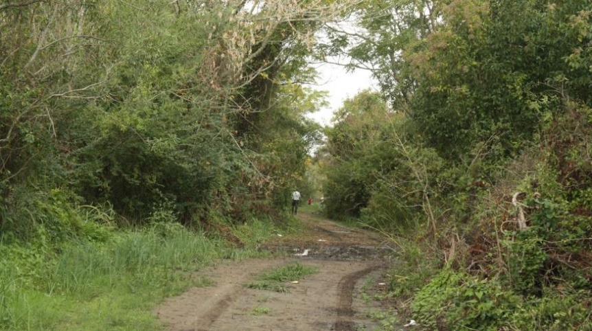 BERAZATEGUI DECLARÓ POR ORDENANZA MUNICIPAL EL ÁREA NATURAL PROTEGIDA “BOSQUES NATIVOS DE HUDSON”