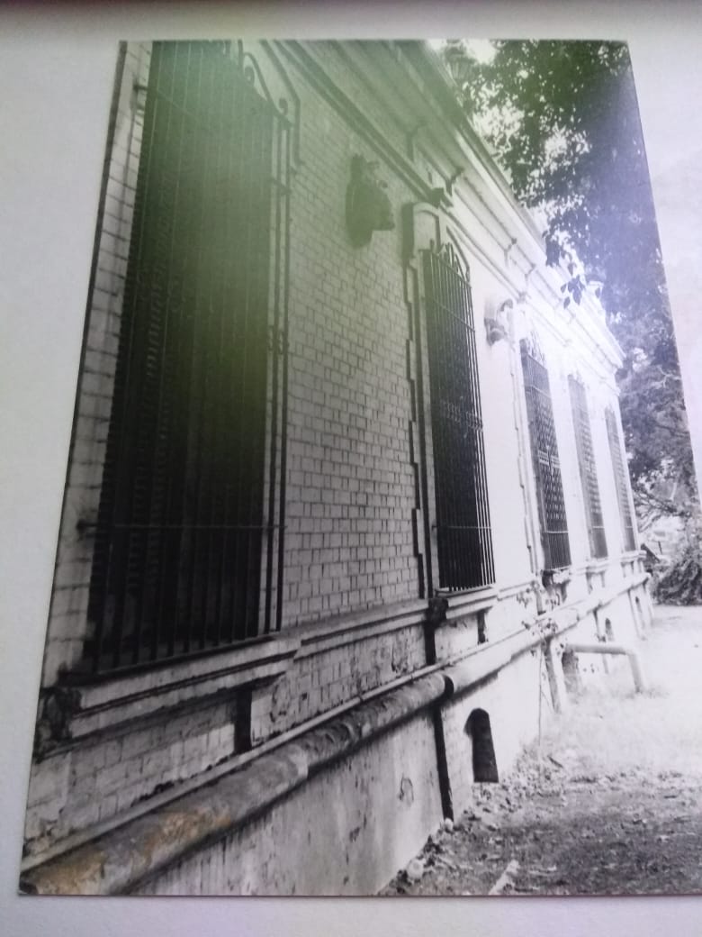 119060639 3460258597329672 5663142039564325059 N