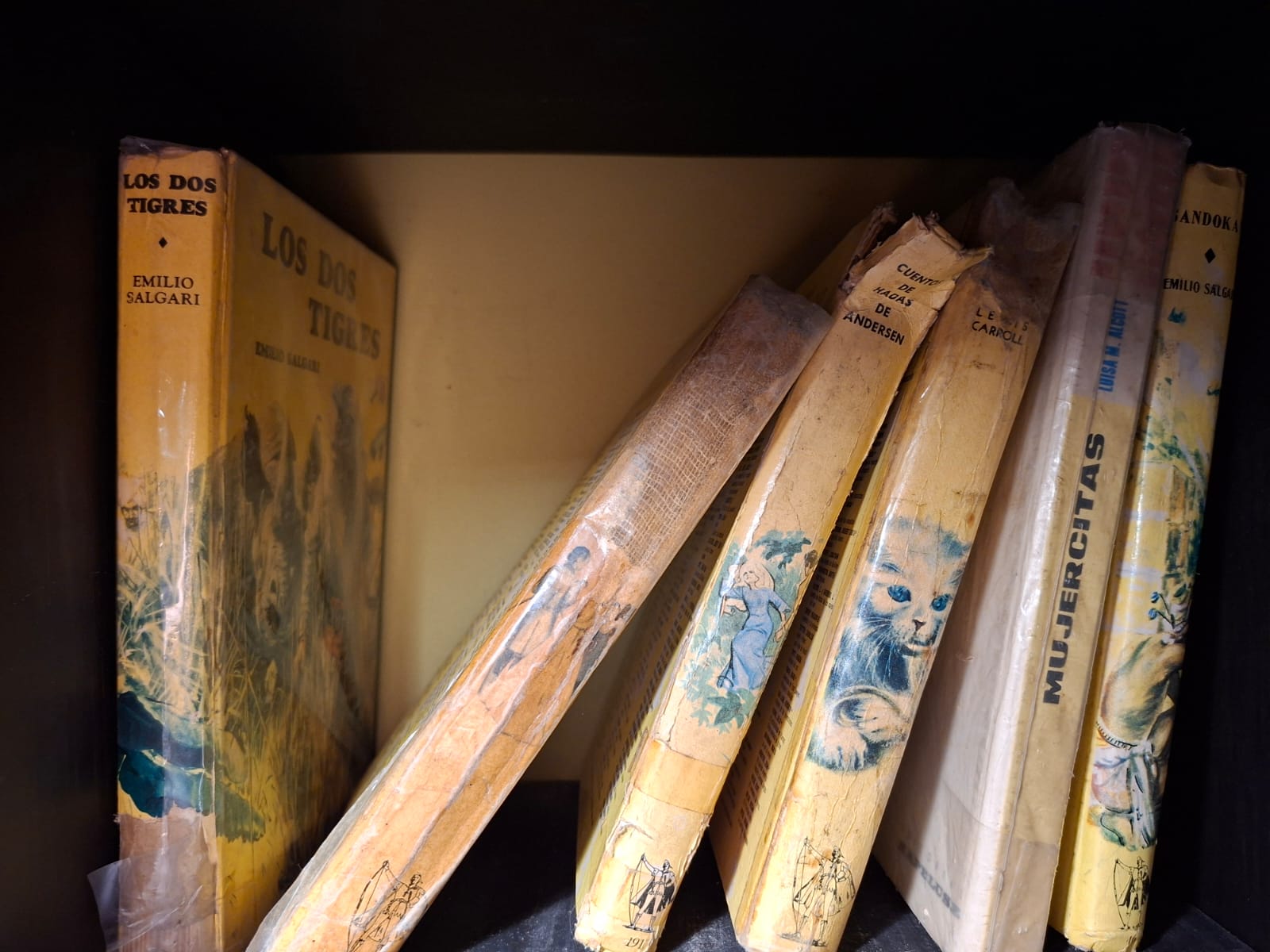 whatsapp image 2026 02 07 at 12.37.56