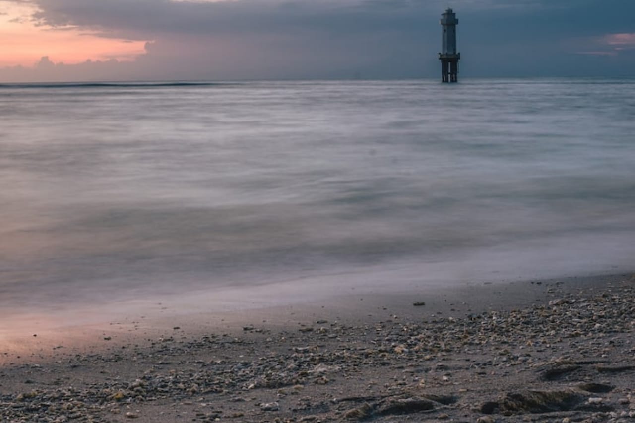 Al mar whatsapp image 2026 02 16 at 11.52.54