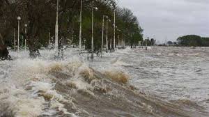 Sudestada Quilmeña images (2)