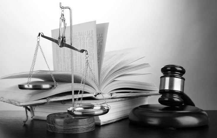 Letra Chica whatsapp image 2026 04 14 at 13.29.07 (1)