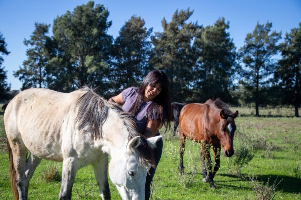 eva mieri y funcionarios municipales visitaron la ong caballos de quilmes que realiza una importante labor de rescate en la ciudad 1