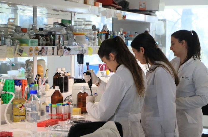 investigadoras1